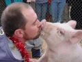 Pig kiss