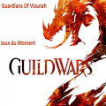 Guild wars 2 19822