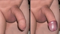 Cock skin 1